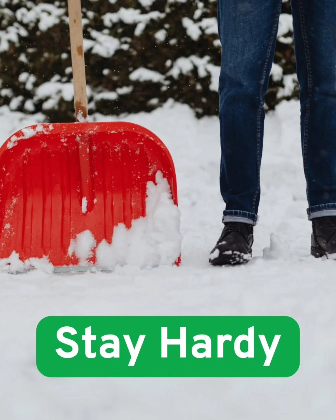 Nearly half of landscape horticulture workers in Manitoba are year-round, not just summer. #stayhardy apprentices.

#landscapehorticulturist #landscaper