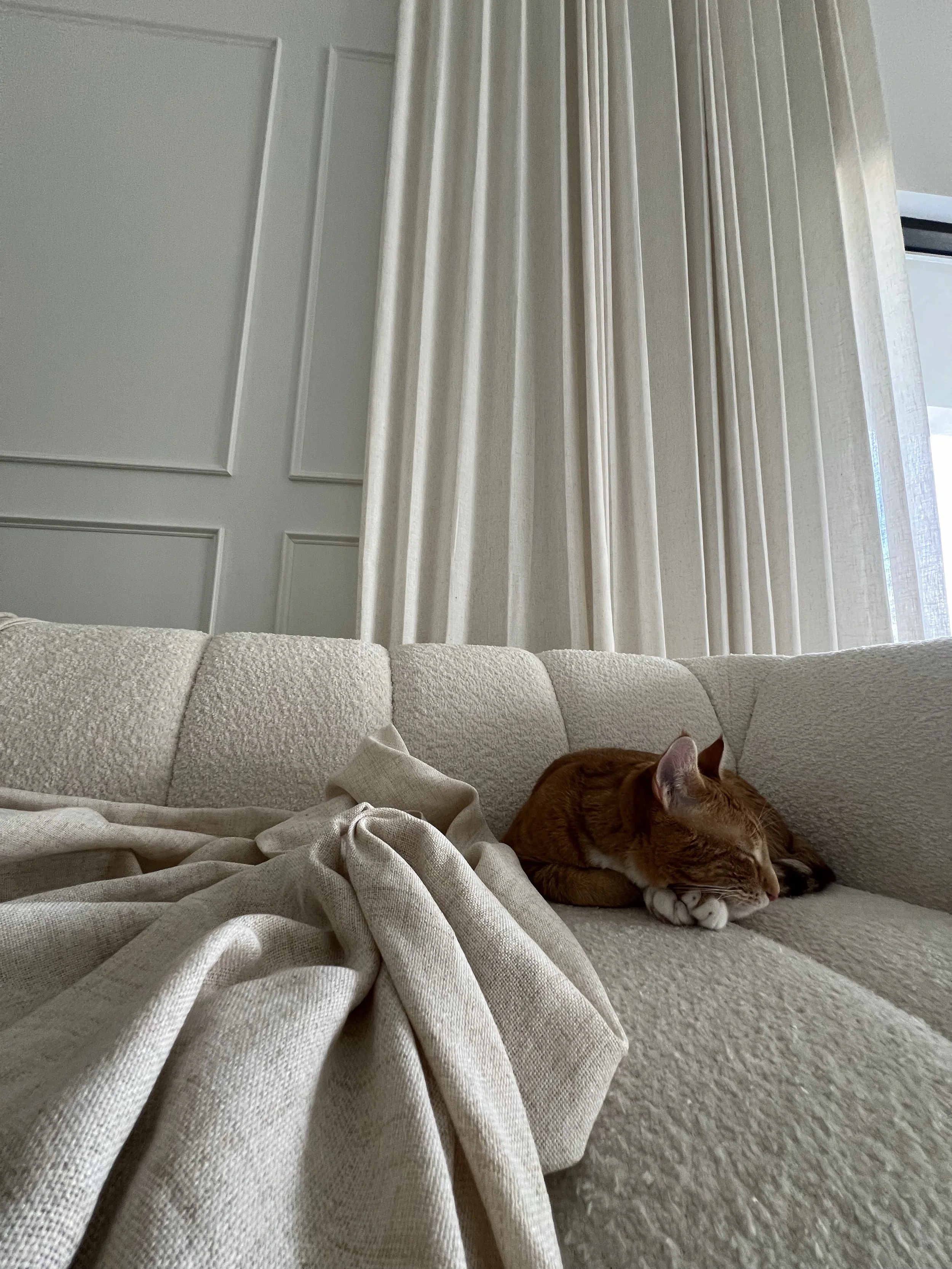 Orange and white cat sleeping peacefully on a soft, beige couch next to a crumpled blanket in a calm, sunlit room.