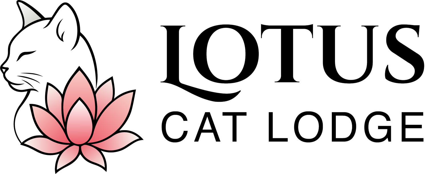 Lotus Cat Lodge