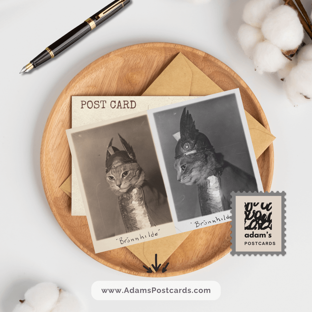 Brünnhilde the Cat Postcard