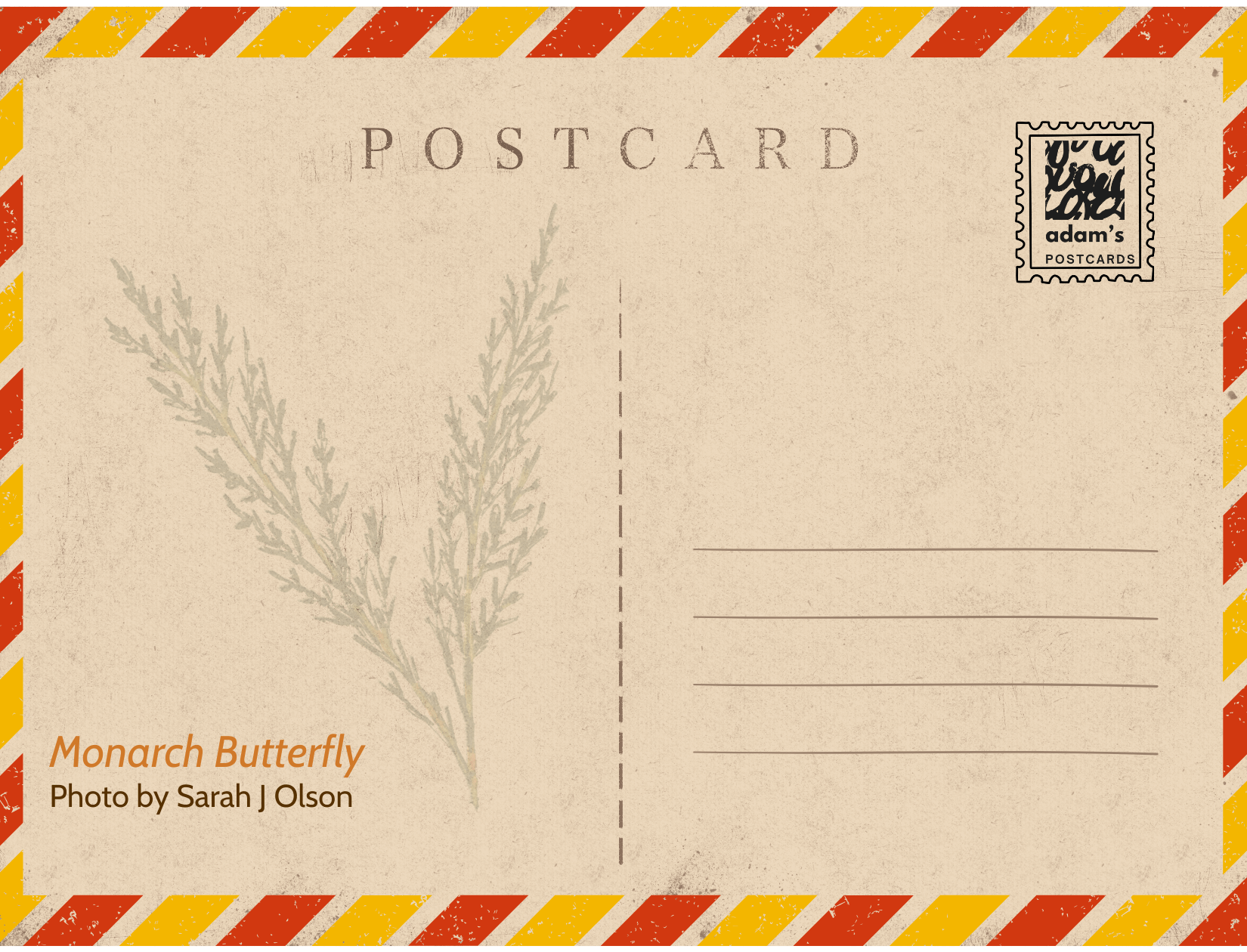 Monarch Butterfly Reverse.png
