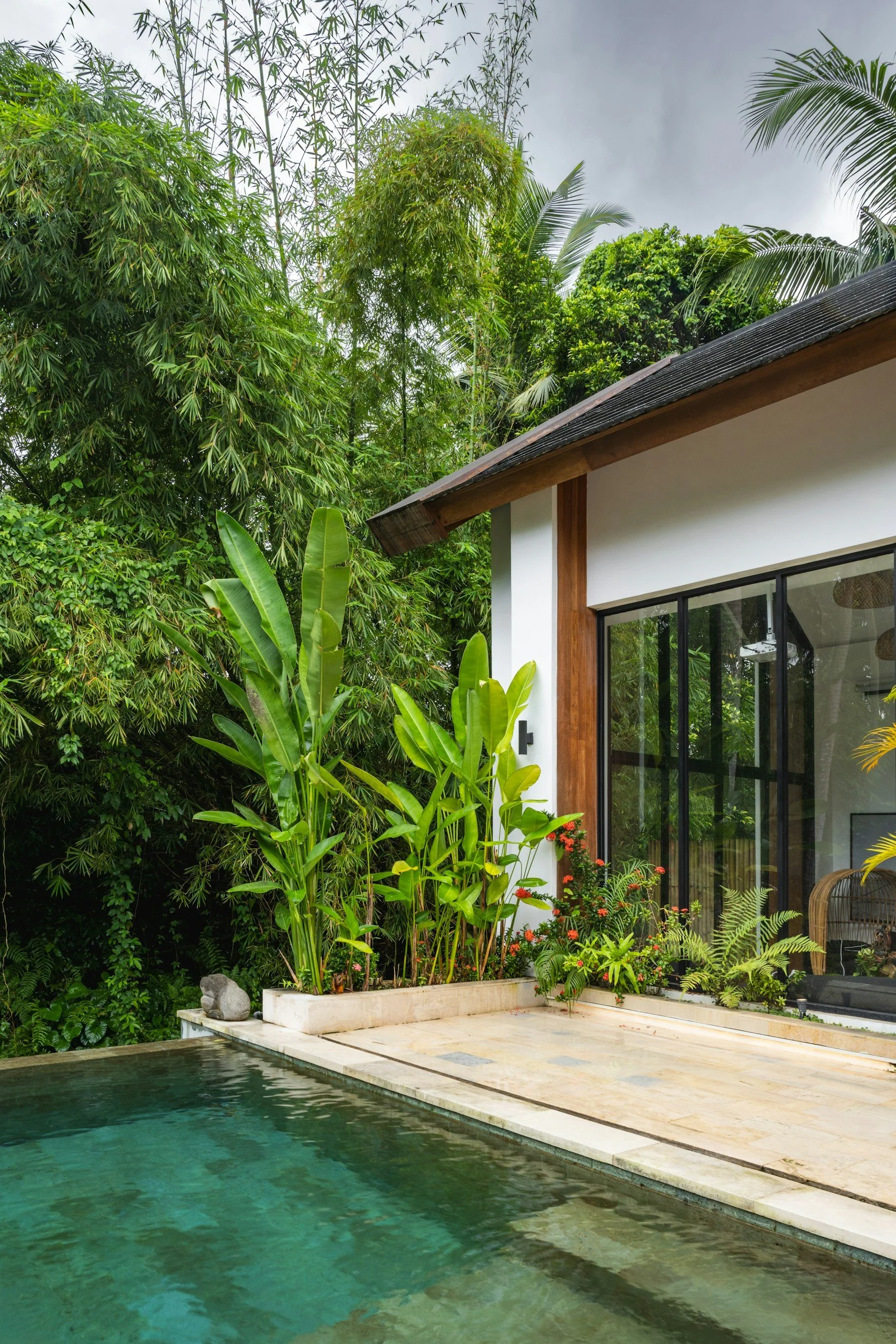 A tropical outdoor scene features a swimming pool, lush green plants, and a modern house with large glass sliding doors.