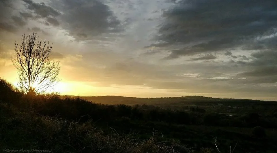 A Photograph taken by Marlena Lambe showcasing a Sunset over a hilly landscape with a silhouetted tree in the foreground and cloudy sky. This was Abbyfeale.