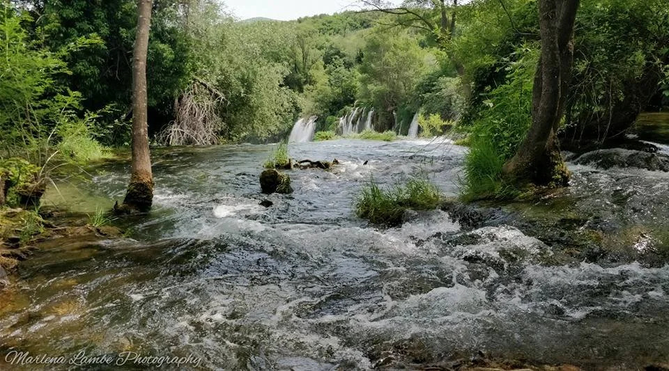 A Photograph taken by Marlena Lambe showcasing a flowing river with small waterfalls surrounded by green trees and vegetation. This was Croatia.