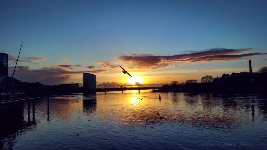 A Photograph taken by Marlena Lambe showcasing a Sunset over a river with birds flying, buildings in the background, and reflections on the water. This was Limerick city.