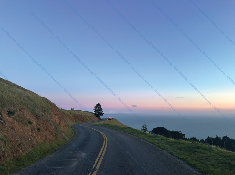 Mt. Tamalpais, Marin County, CA