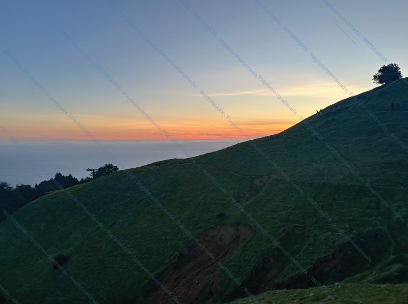 Mt. Tamalpais, Marin County, CA