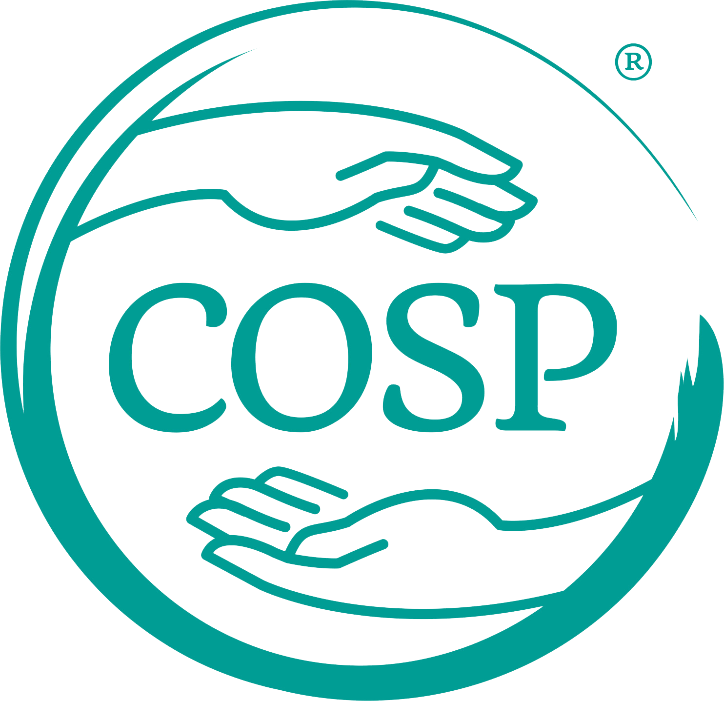 Circle of Security Parenting COS COSP