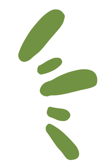 Abstract green shapes on a black background.