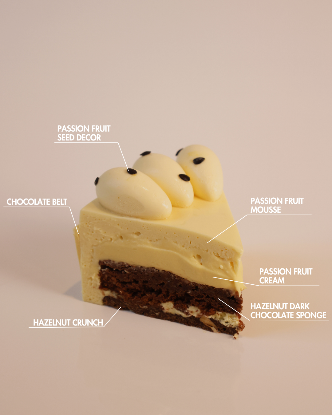 Passion Fruit Components 2.PNG