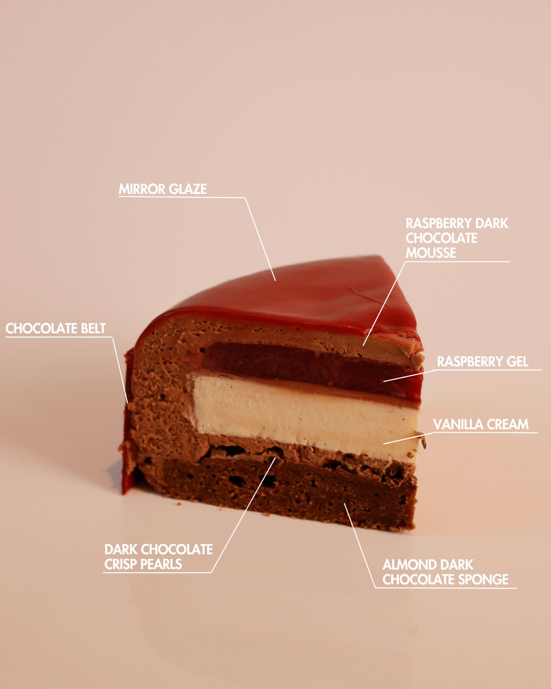 Raspberry Vanilla Dark Chocolate Components-2.png
