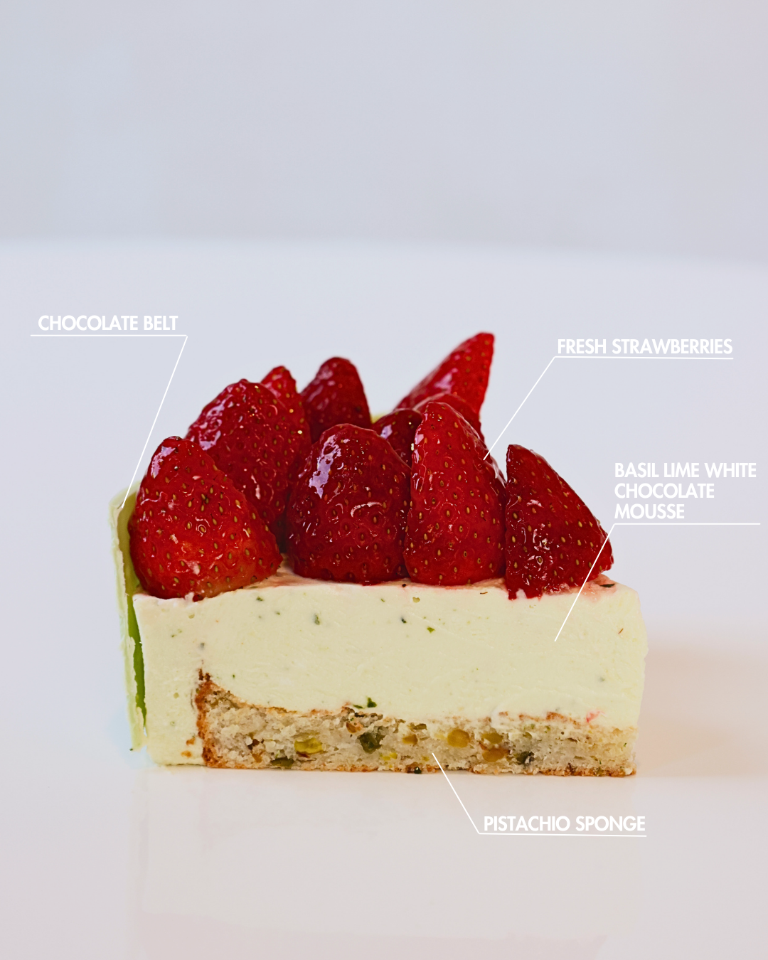 Basil Components 2.PNG
