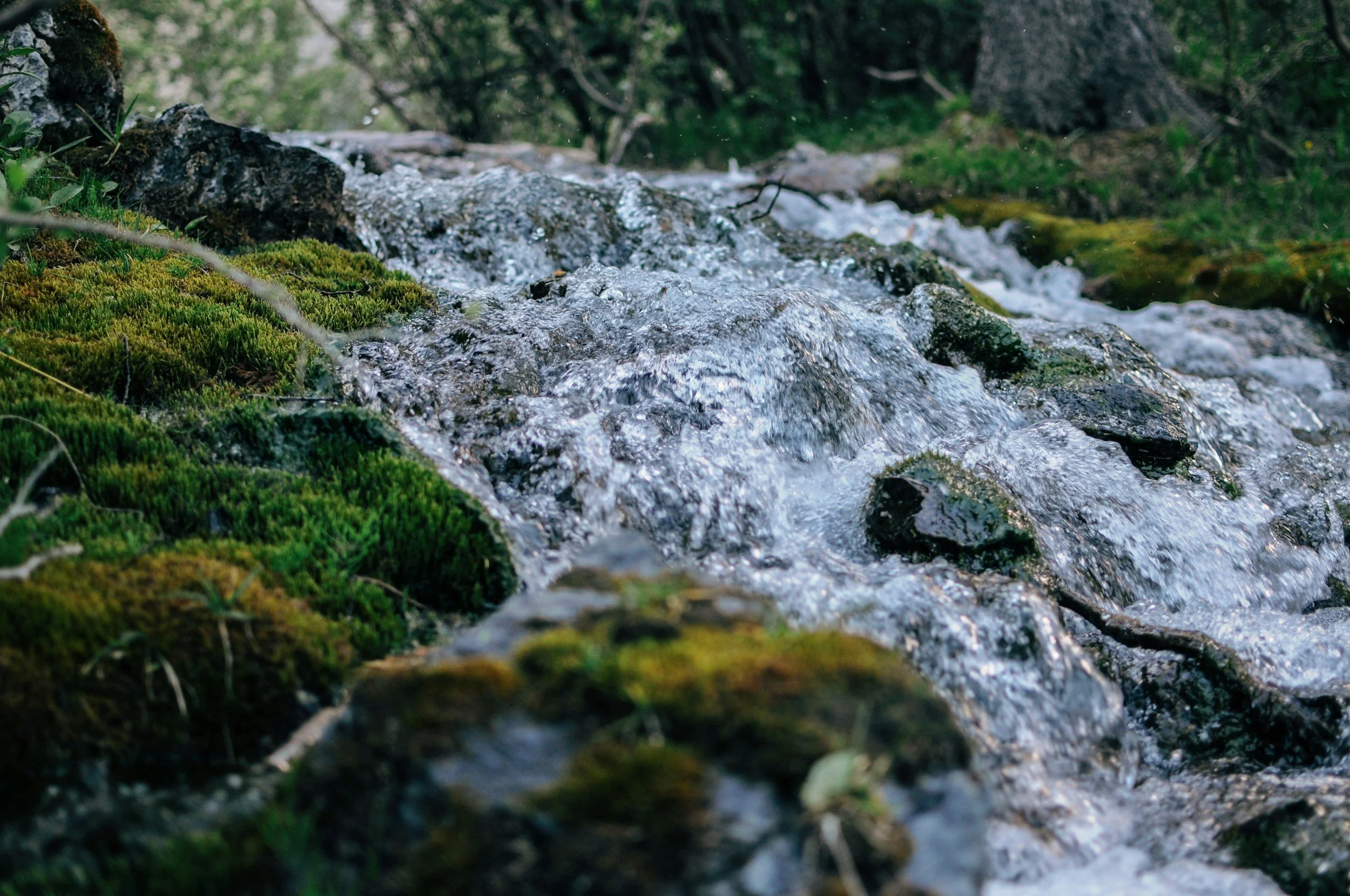 A small mountain stream flowing over rocks surrounded by green moss and trees.
