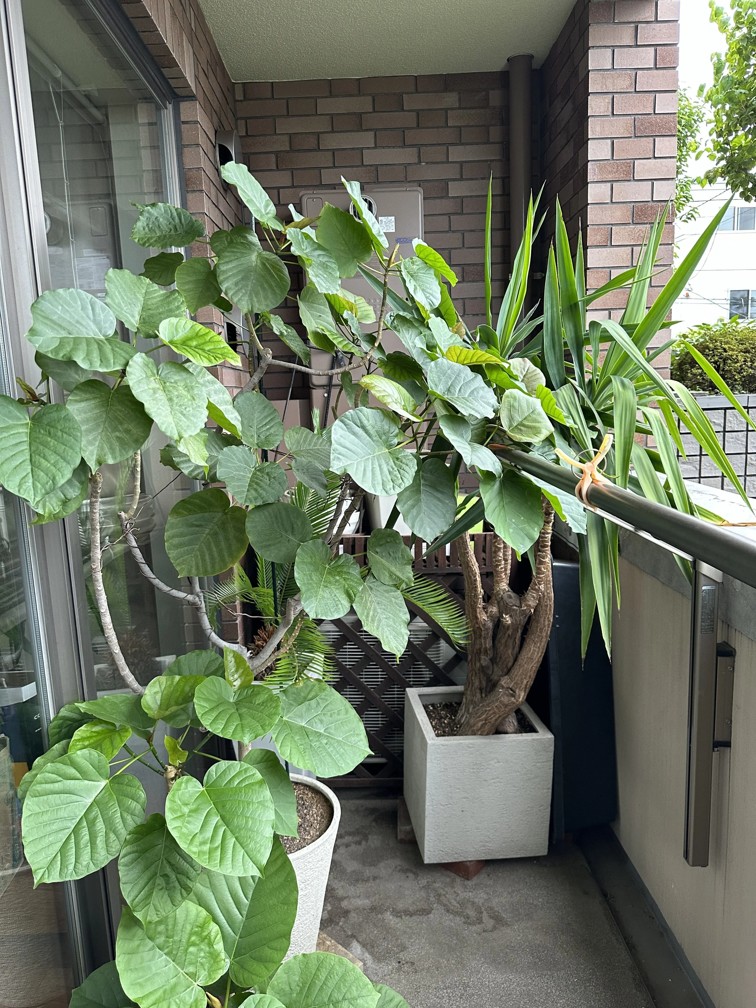 ４：まとめ〜育て方７つの法則抜粋〜