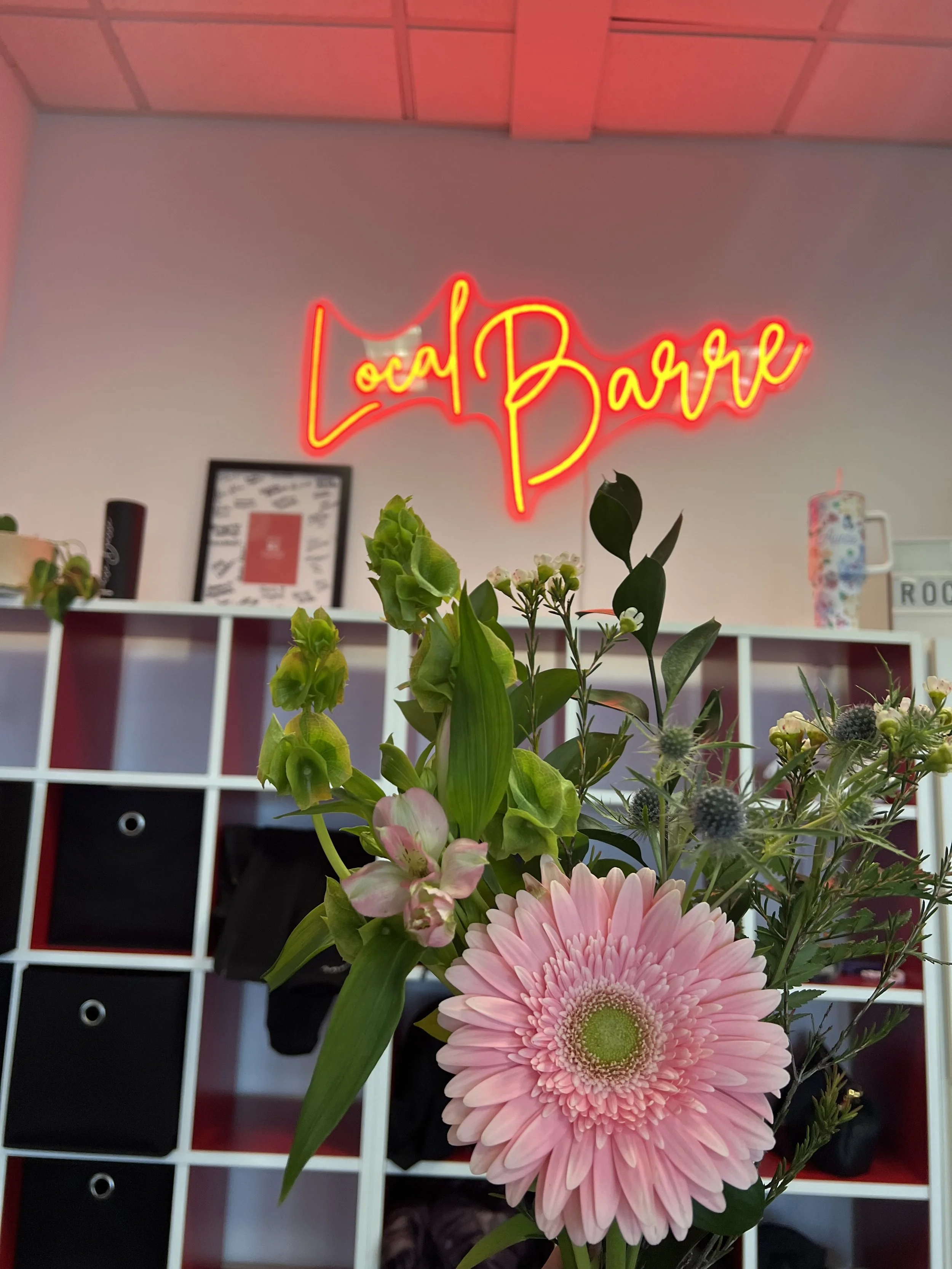 Close-up of a pink Gerbera daisy and assorted green foliage in front of a white cubby shelf with black drawers, with a pink neon sign that reads 'Local Barre' in the background.