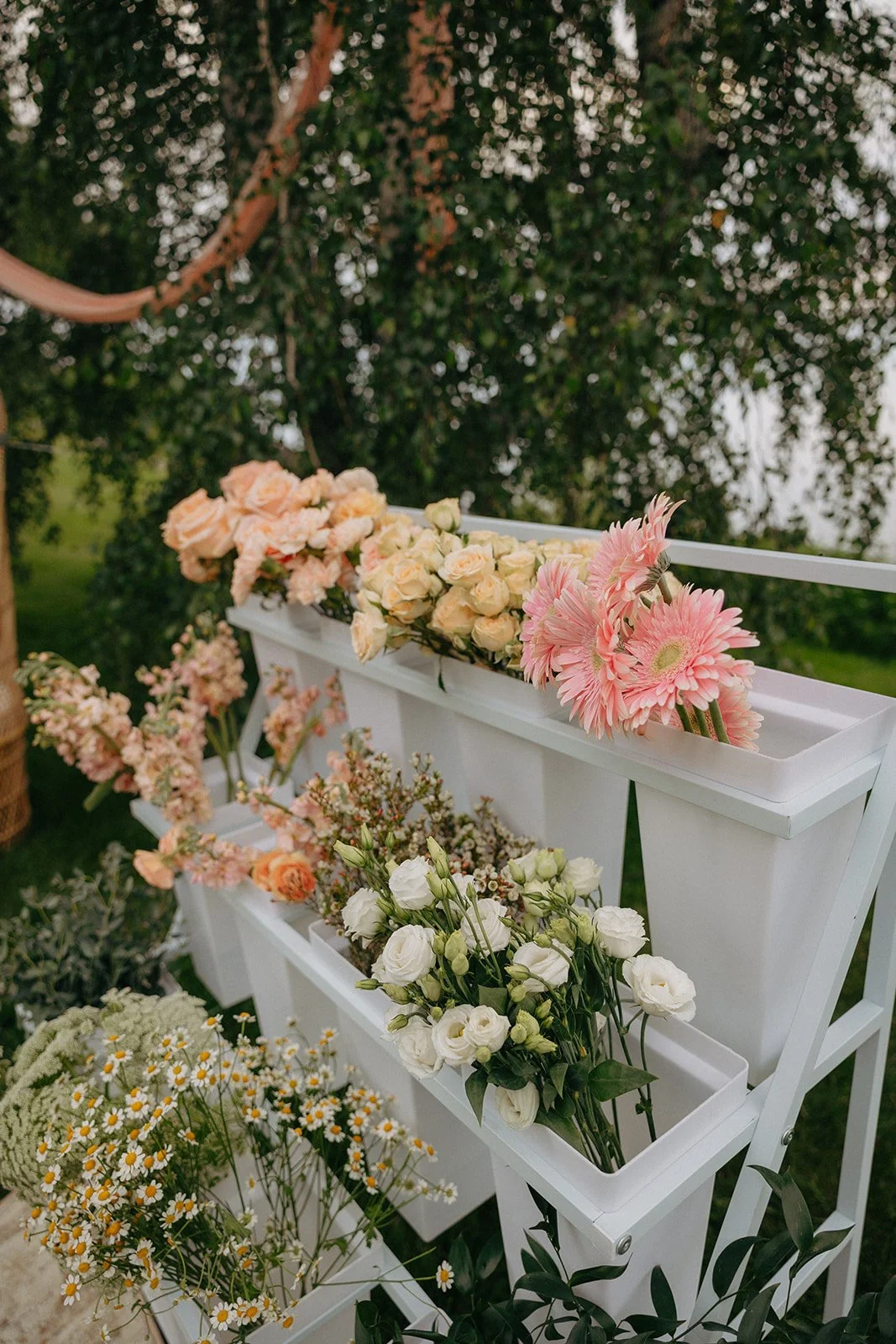 Branding Photos by Britten Nicole-183_websize (2).jpg