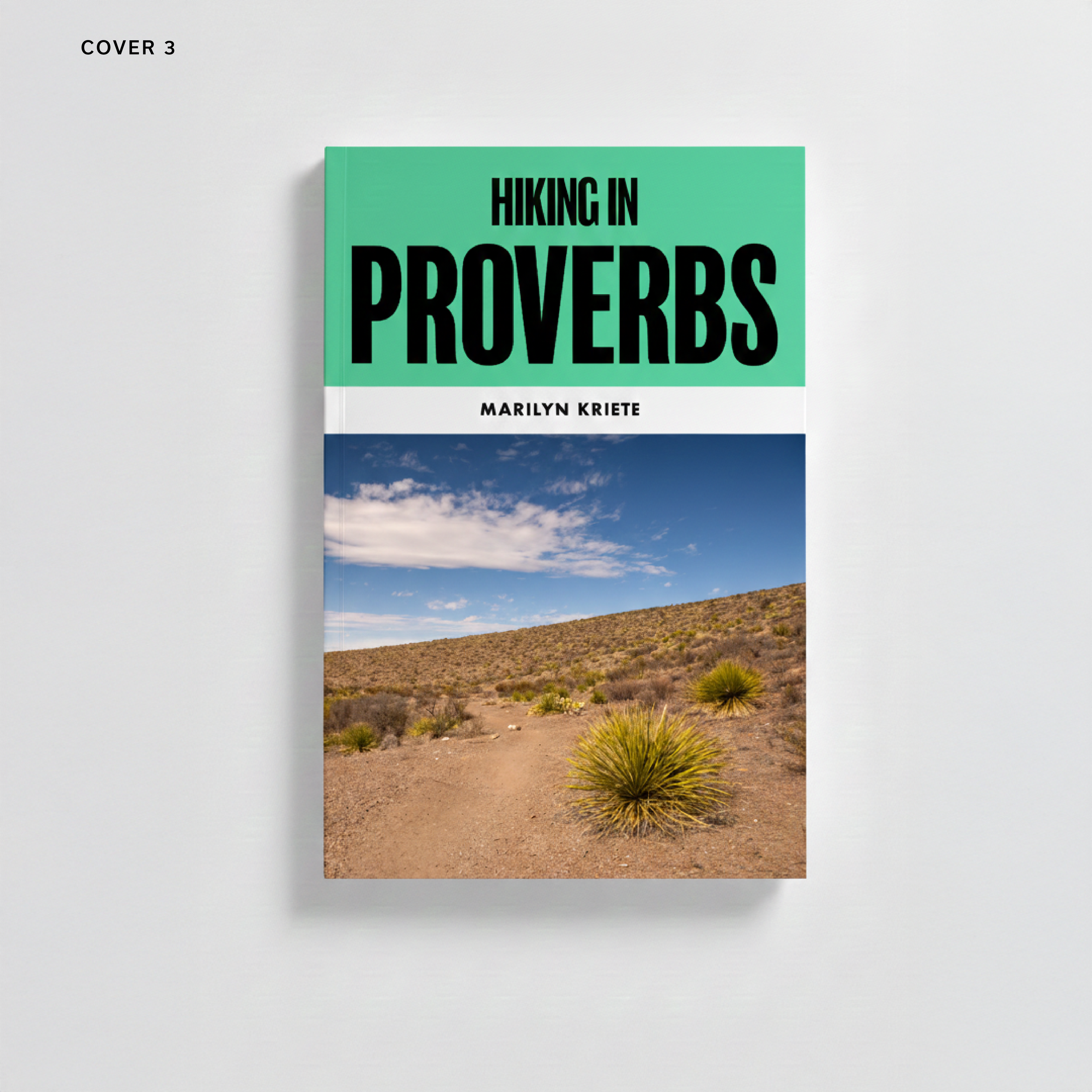 Book titled "Hiking in Proverbs" by Marilyn Kriete with a desert landscape featuring bushes, a dirt path, and a blue sky with clouds on the cover.