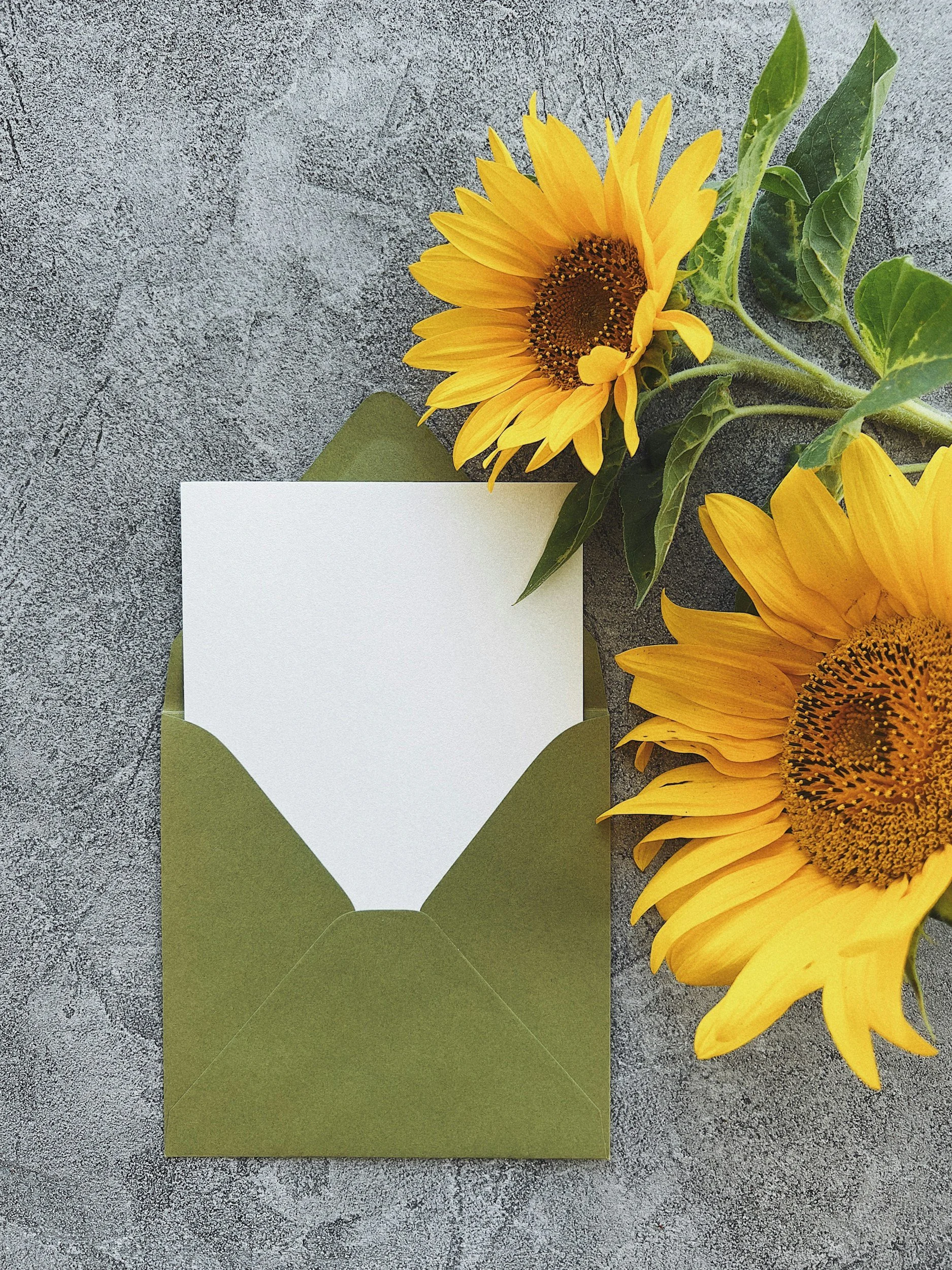 A green envelope with a white card partially pulled out, placed on a textured grey surface, accompanied by two vibrant sunflowers with green leaves.