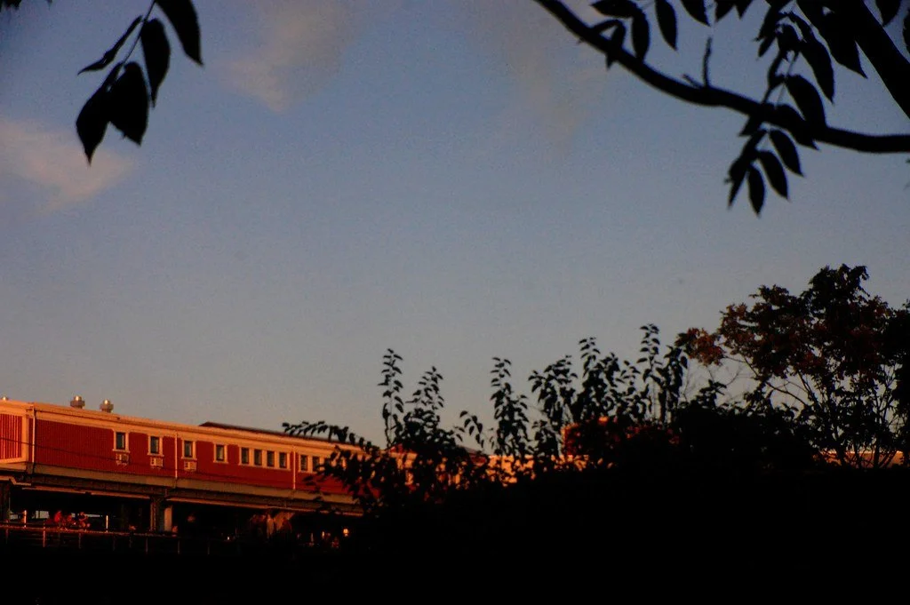 13651989915_4d66c0e830_b.jpg