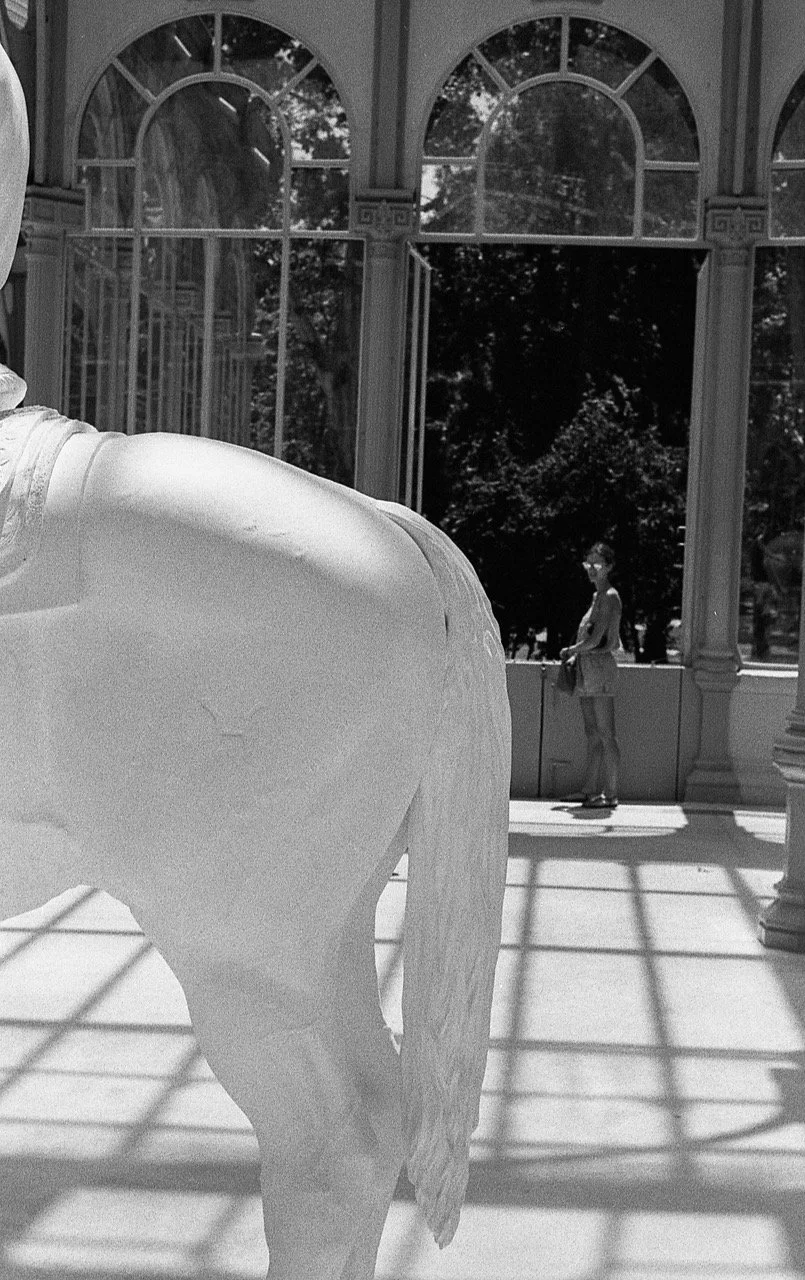 A woman standing inside a conservatory or greenhouse with large arched windows, with shadowed trees outside. The foreground features a partial view of a large white sculpture or statue, possibly of an animal.