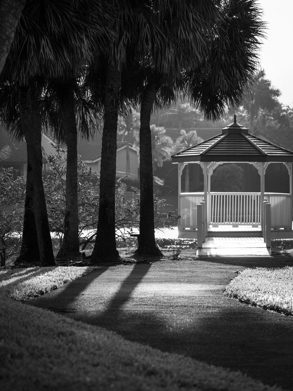 A black and white photo of a gazebo near water, with trees casting shadows on a paved pathway in the foreground.