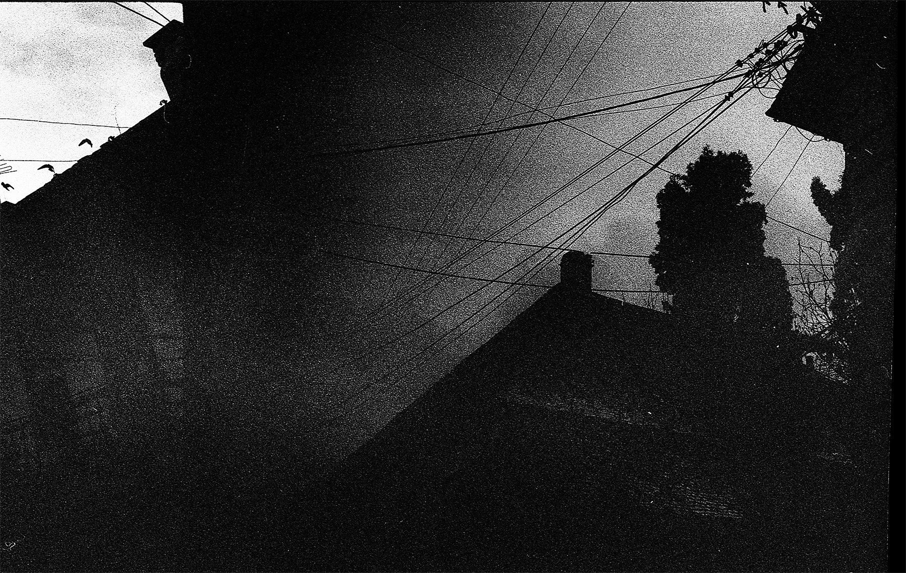 Silhouette of rooftops, chimney, and trees against a cloudy sky, with power lines crisscrossing.