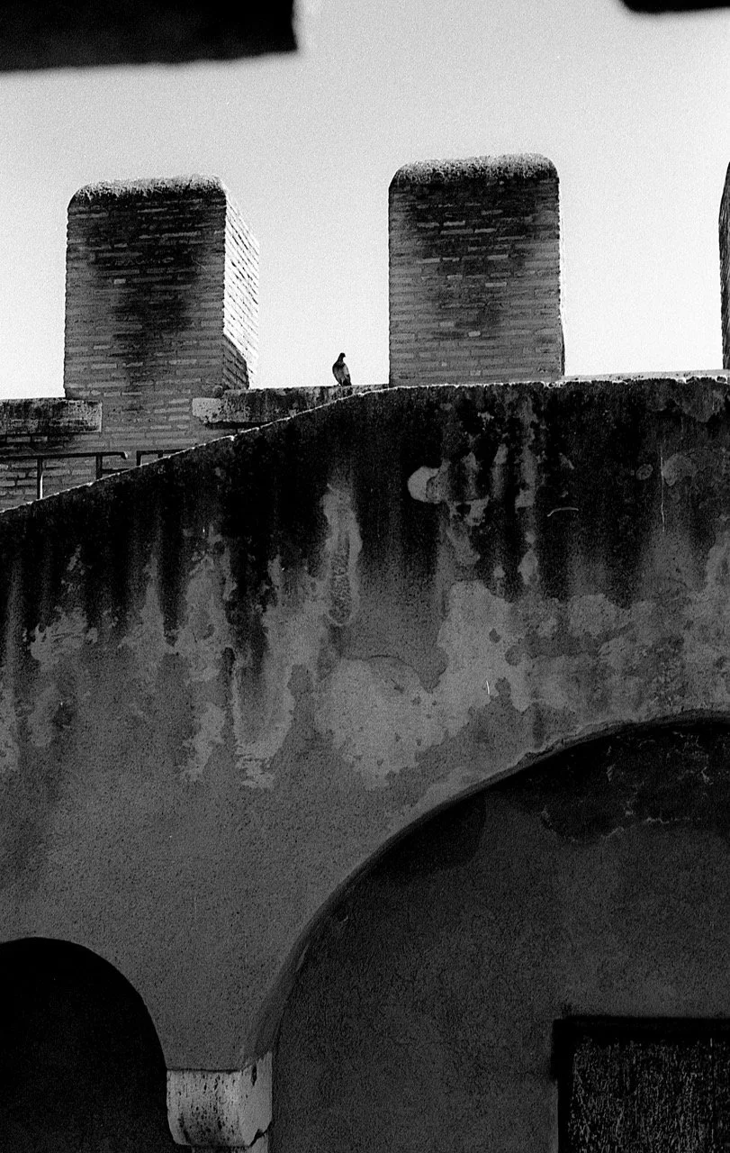A pigeon standing on a rooftop ledge in front of three brick chimneys, with a textured wall and an archway below.