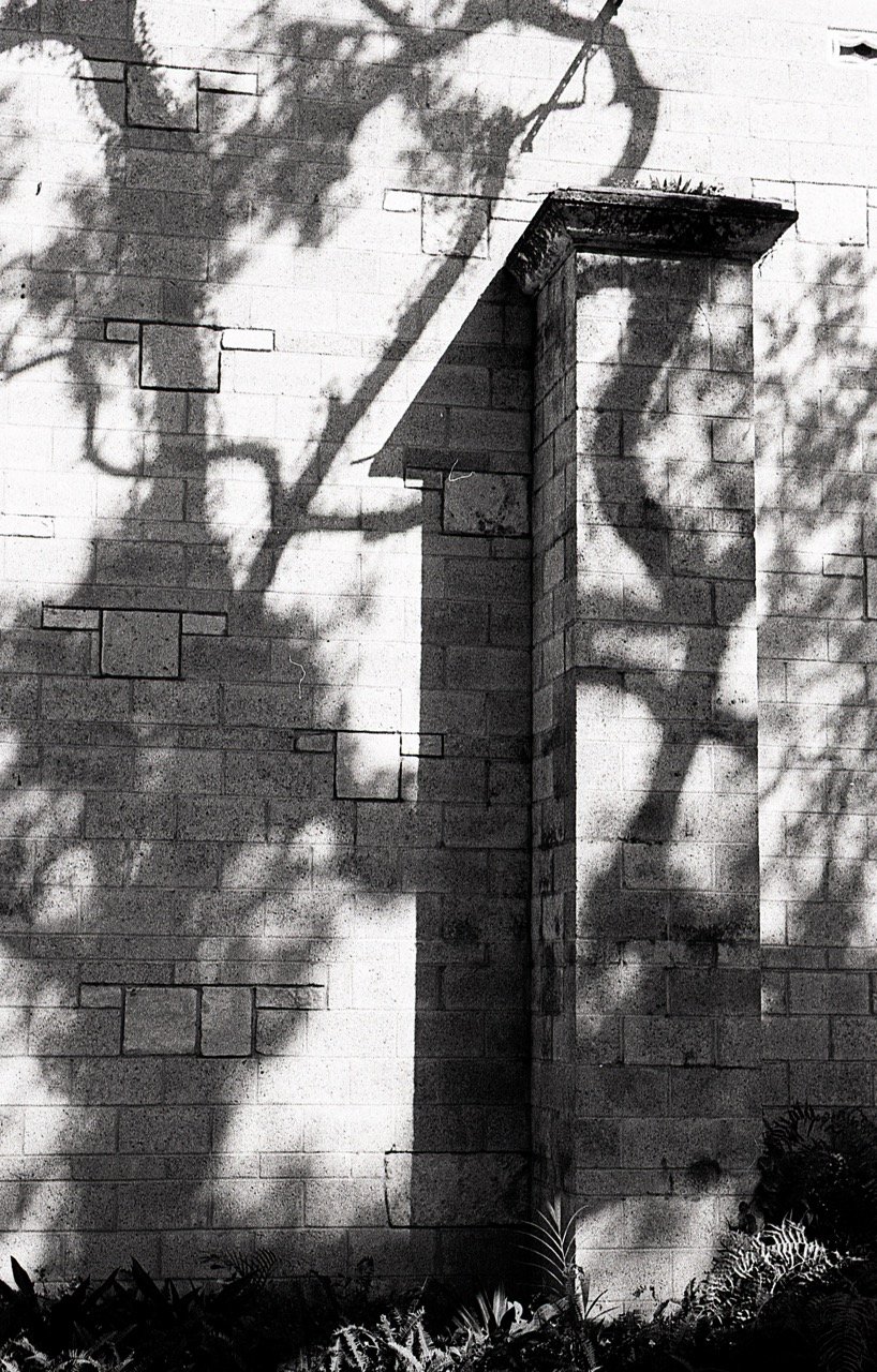 Black and white photo of a brick wall with shadows of a tree and a bicycle cast on it, and a vertical brick pillar with a small overhanging ledge at the top.