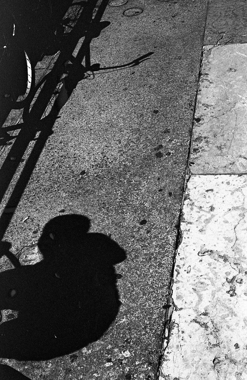 Shadow of a bicycle tire and parts cast on the sidewalk, with a portion of the bicycle above.
