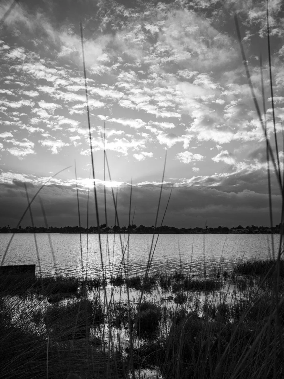 Black and white photo of a lake with tall grass in the foreground, a partly cloudy sky, and a distant treeline.