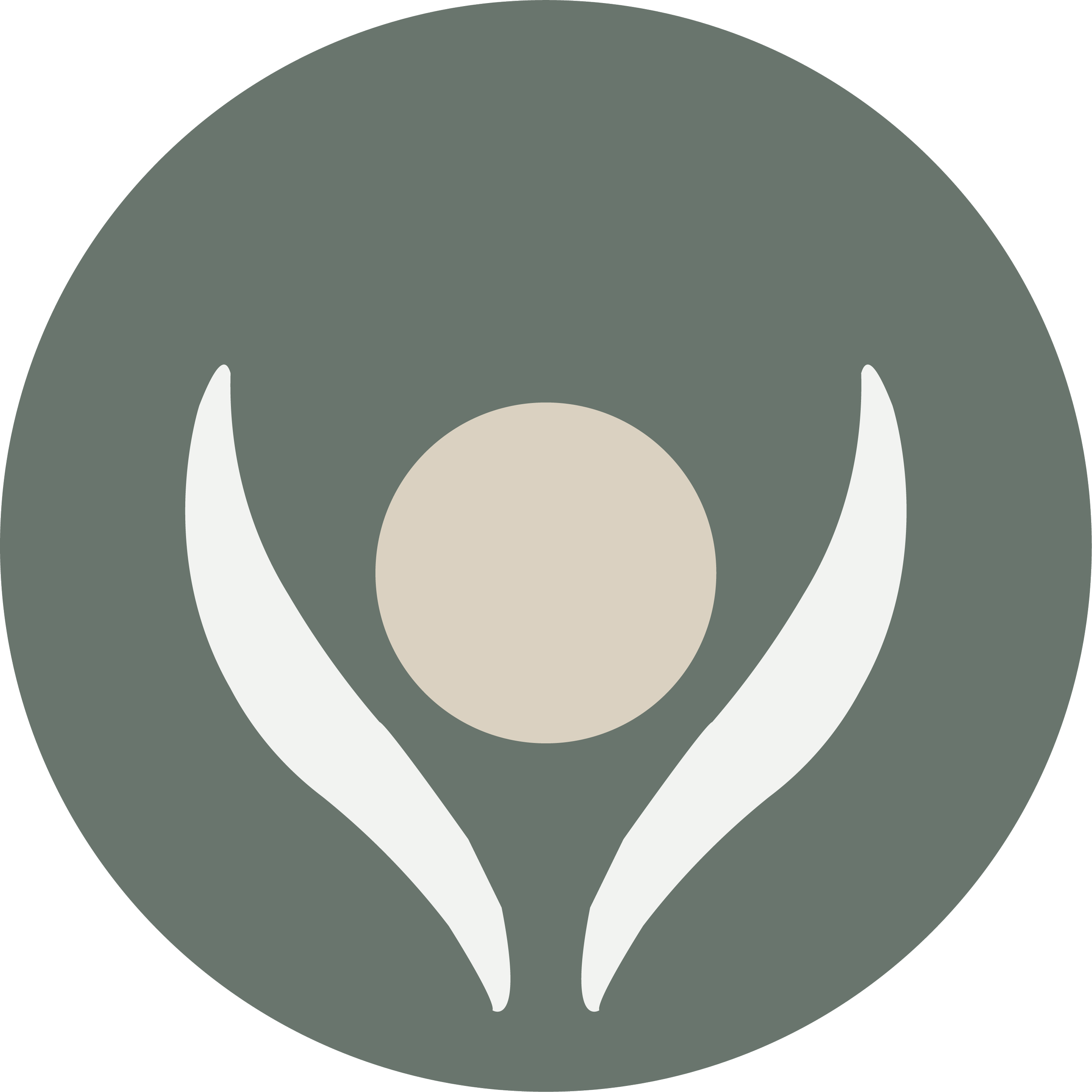 The Sakti Effect, Knowledge and Clarity, Discovery Session