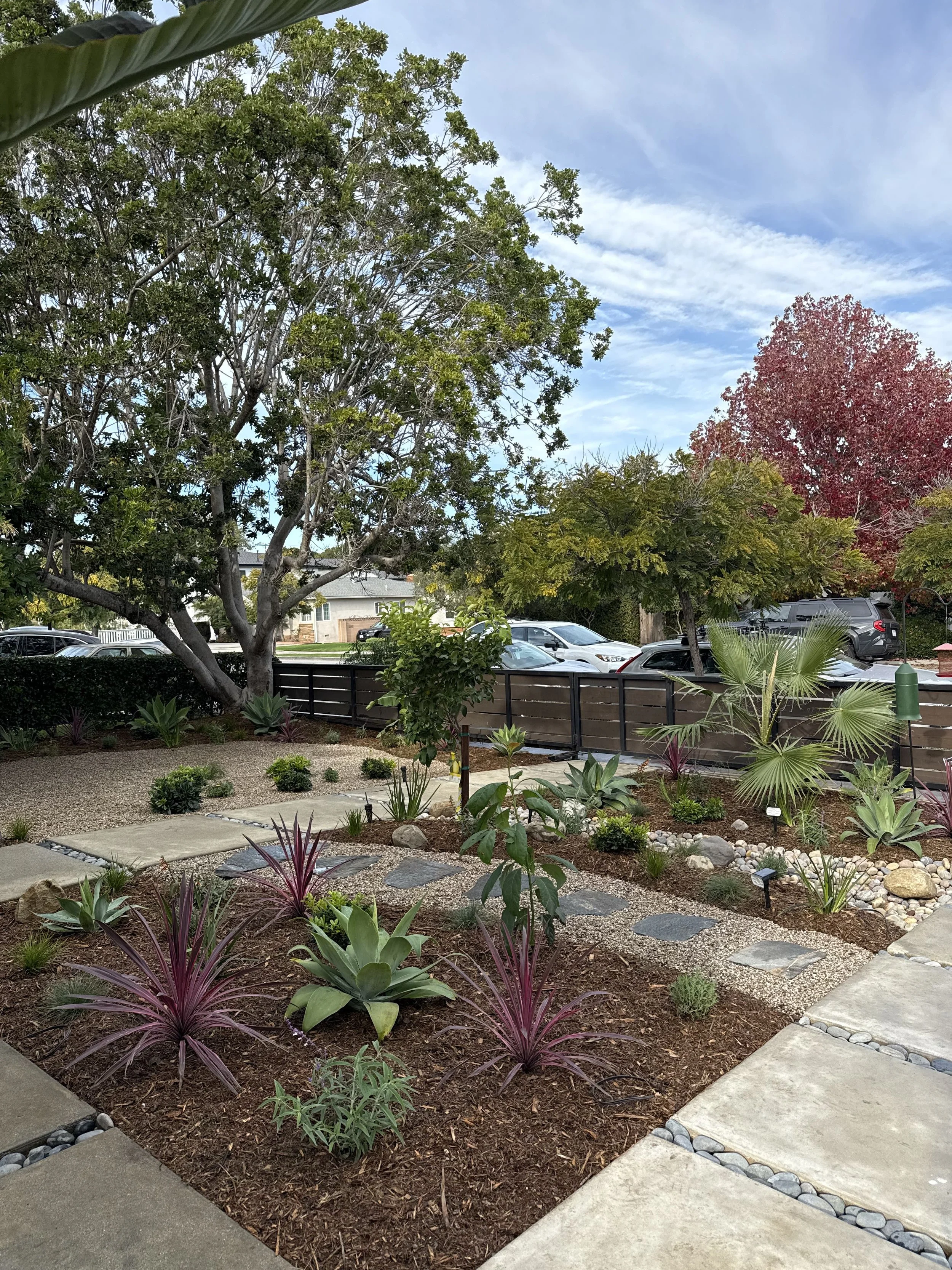 A landscaped garden with various plants, including succulents and palms, surrounded by concrete walkways and a wooden fence, with parked cars and trees in the background under a partly cloudy sky.