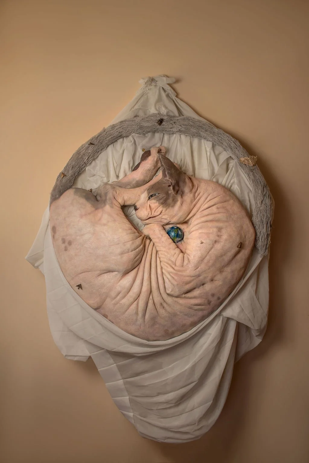 IMG_8053 - copia.jpg