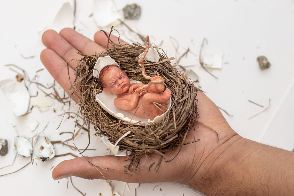 IMG_8787 - copia (2).jpg