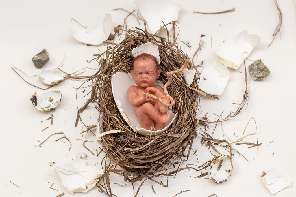 Astudillo-r-c1 - copia.jpg