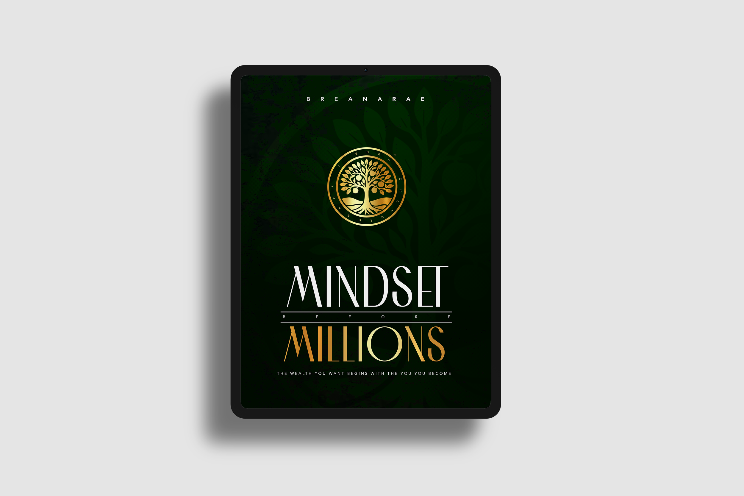 Mindset Before Millions