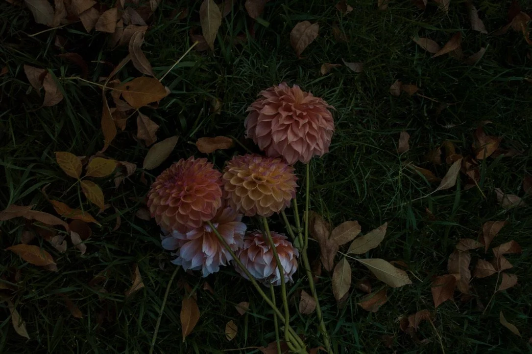 Floral Inqury