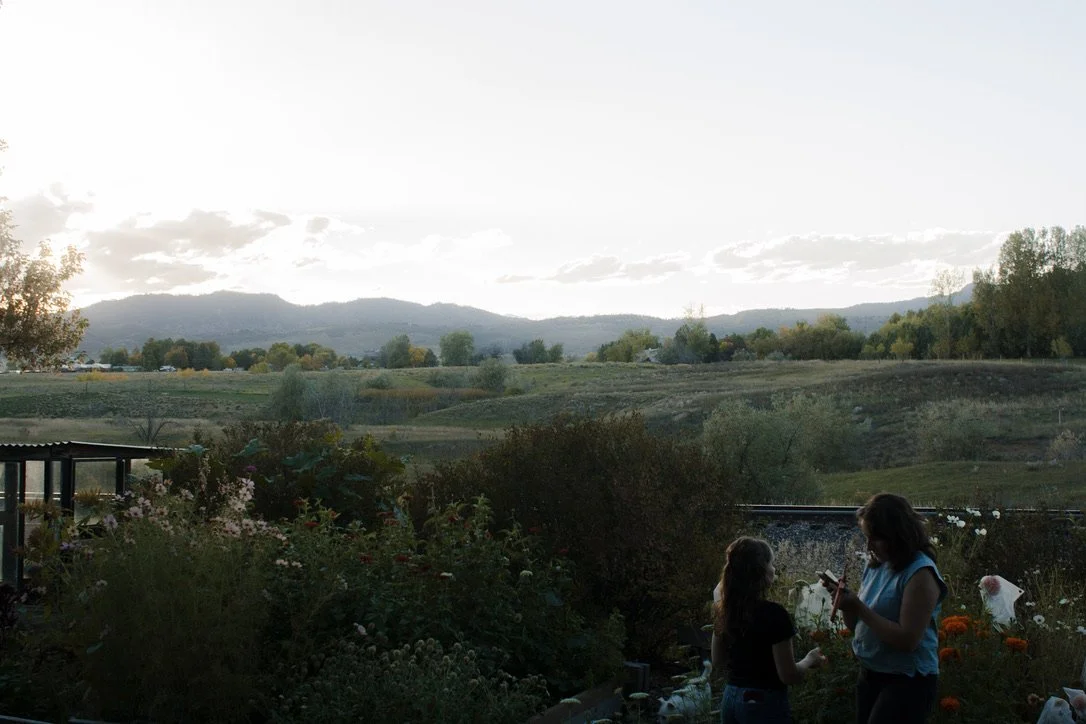 Two young girls standing and talking in a garden at sunset, with mountains and clouds in the background.