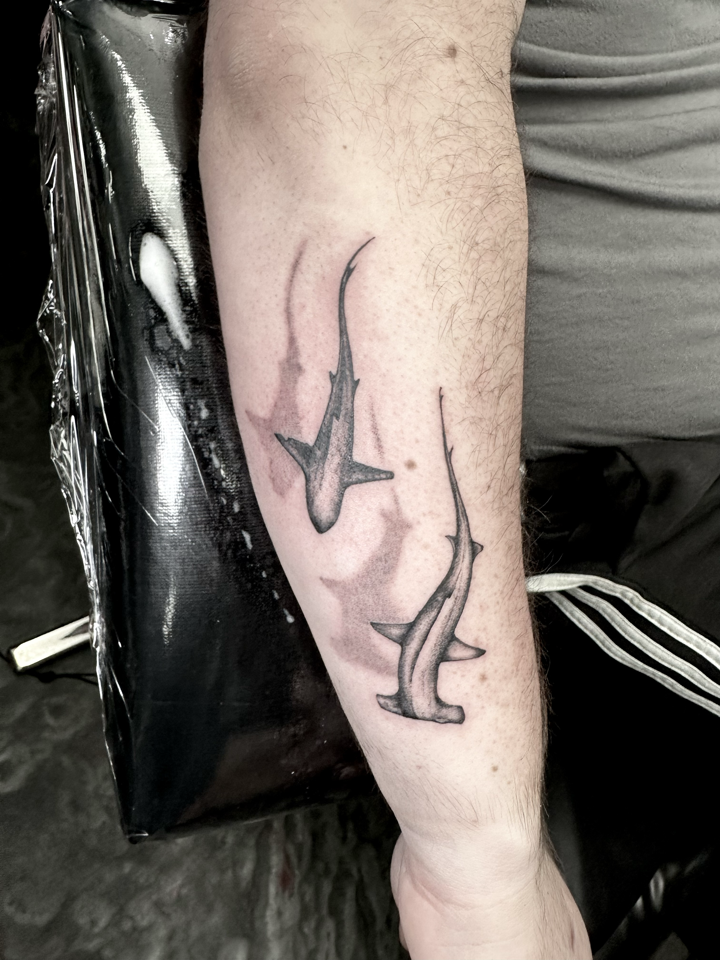 Tattoo of two sharks on a person's forearm.