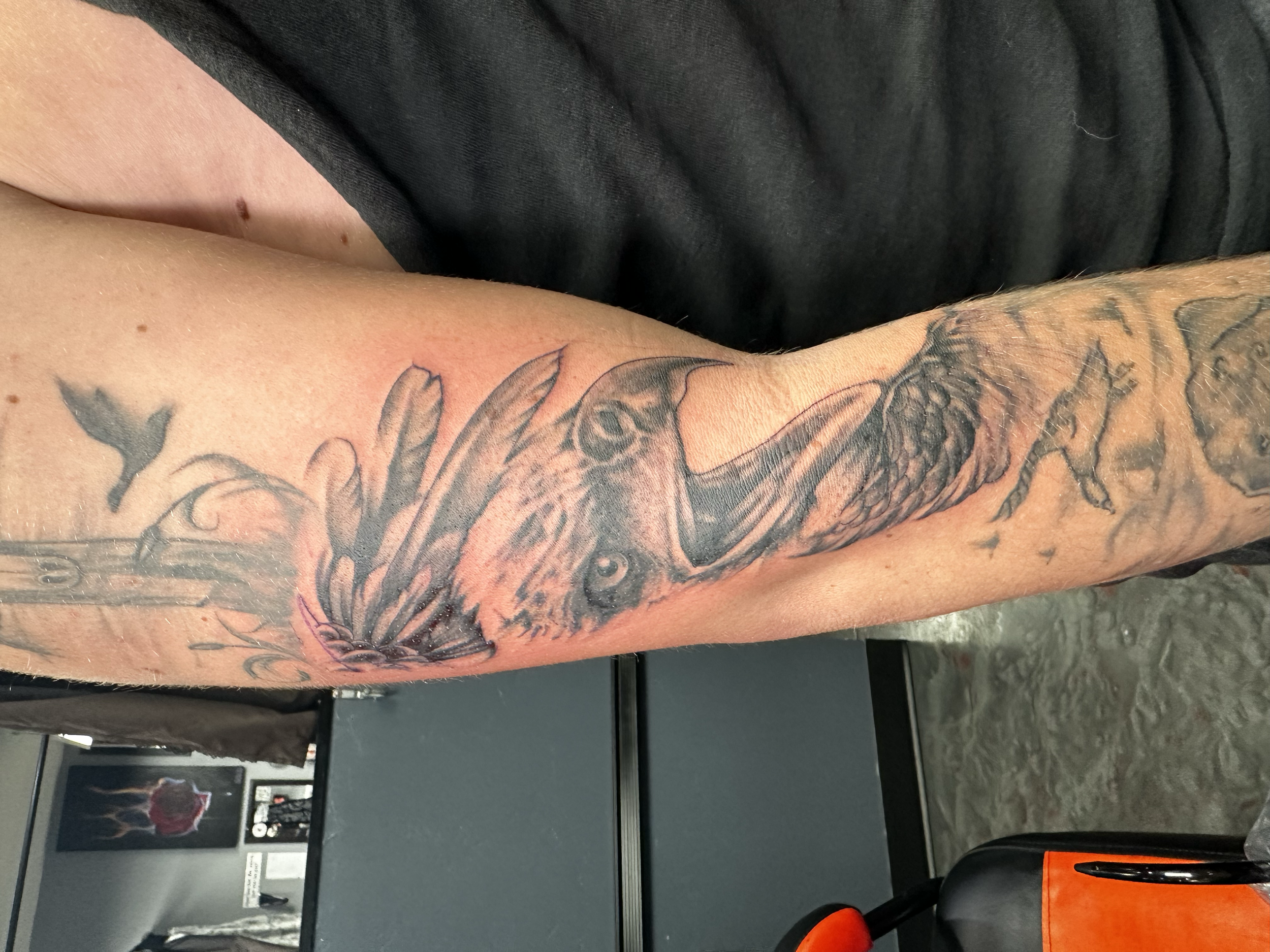 Tattoo of a bird with outstretched wings on a person's forearm.