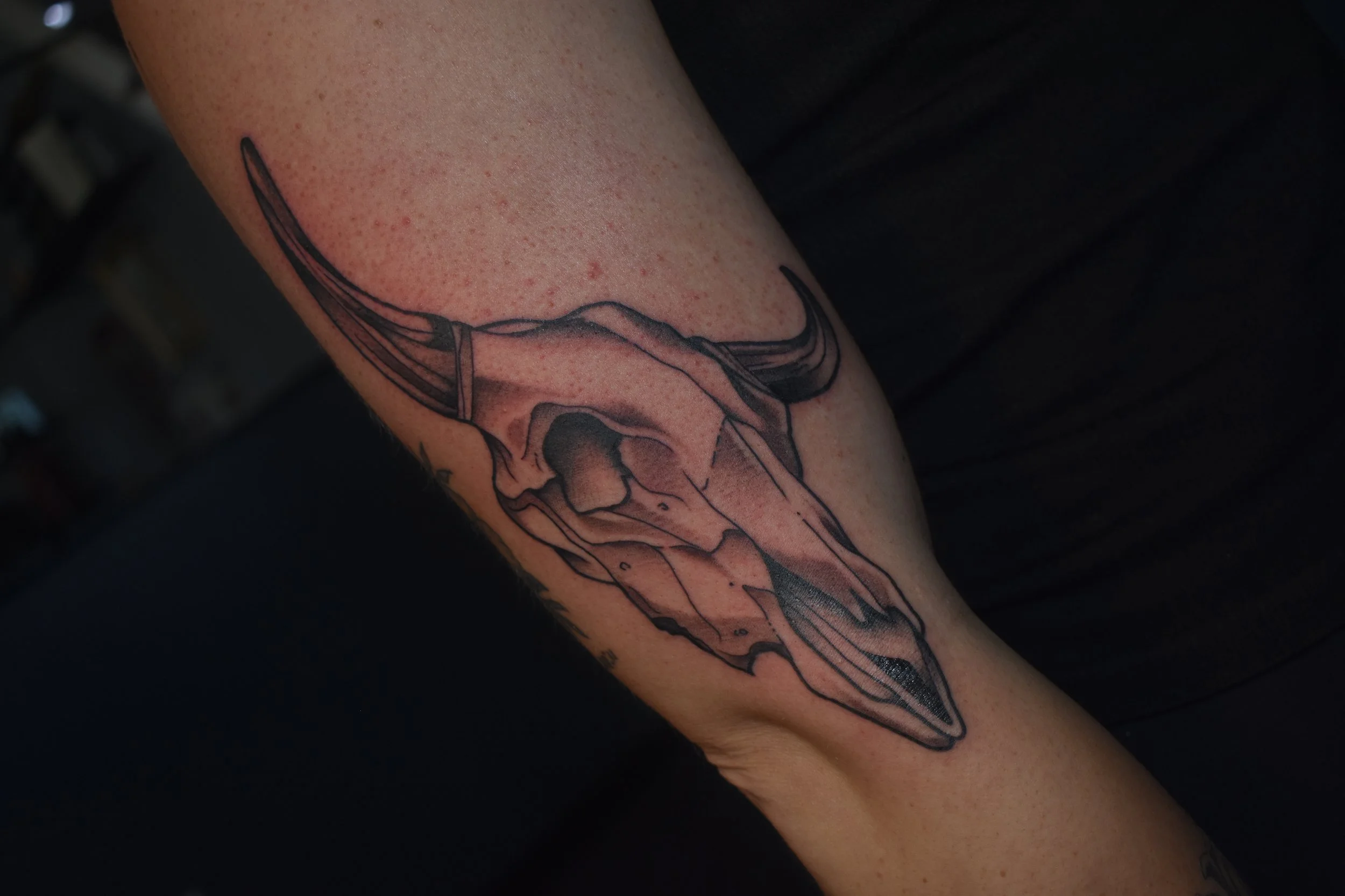 Tattoo of an animal skull on a person's arm, featuring black line art and shading.