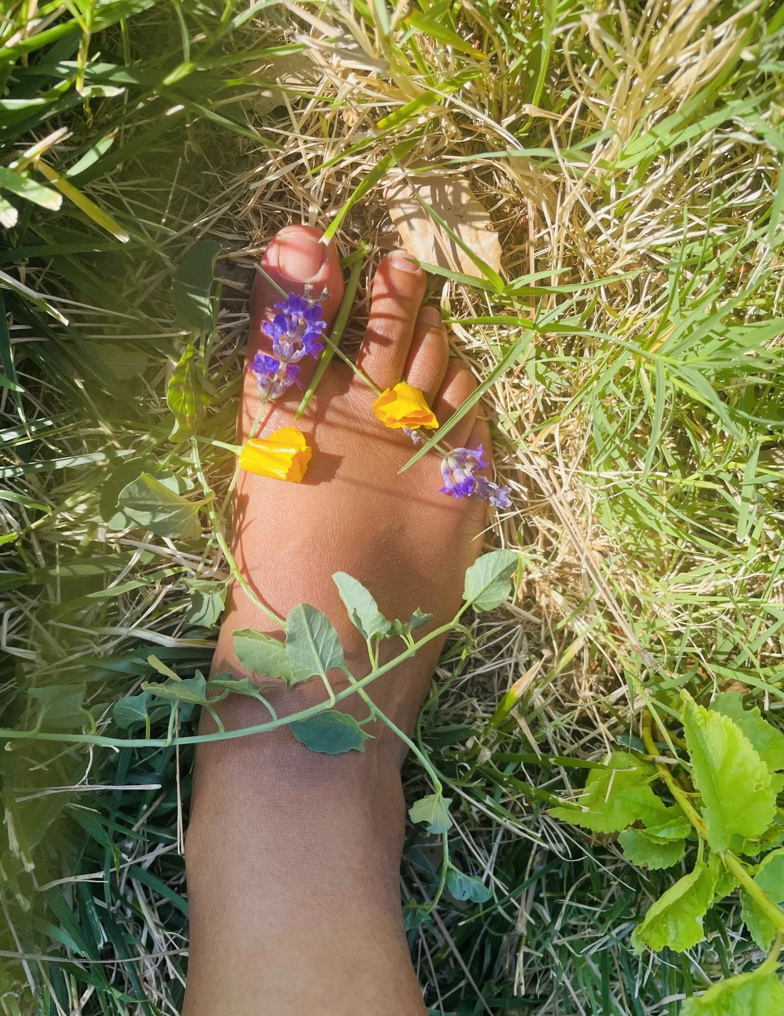 Feet in Soil.jpg