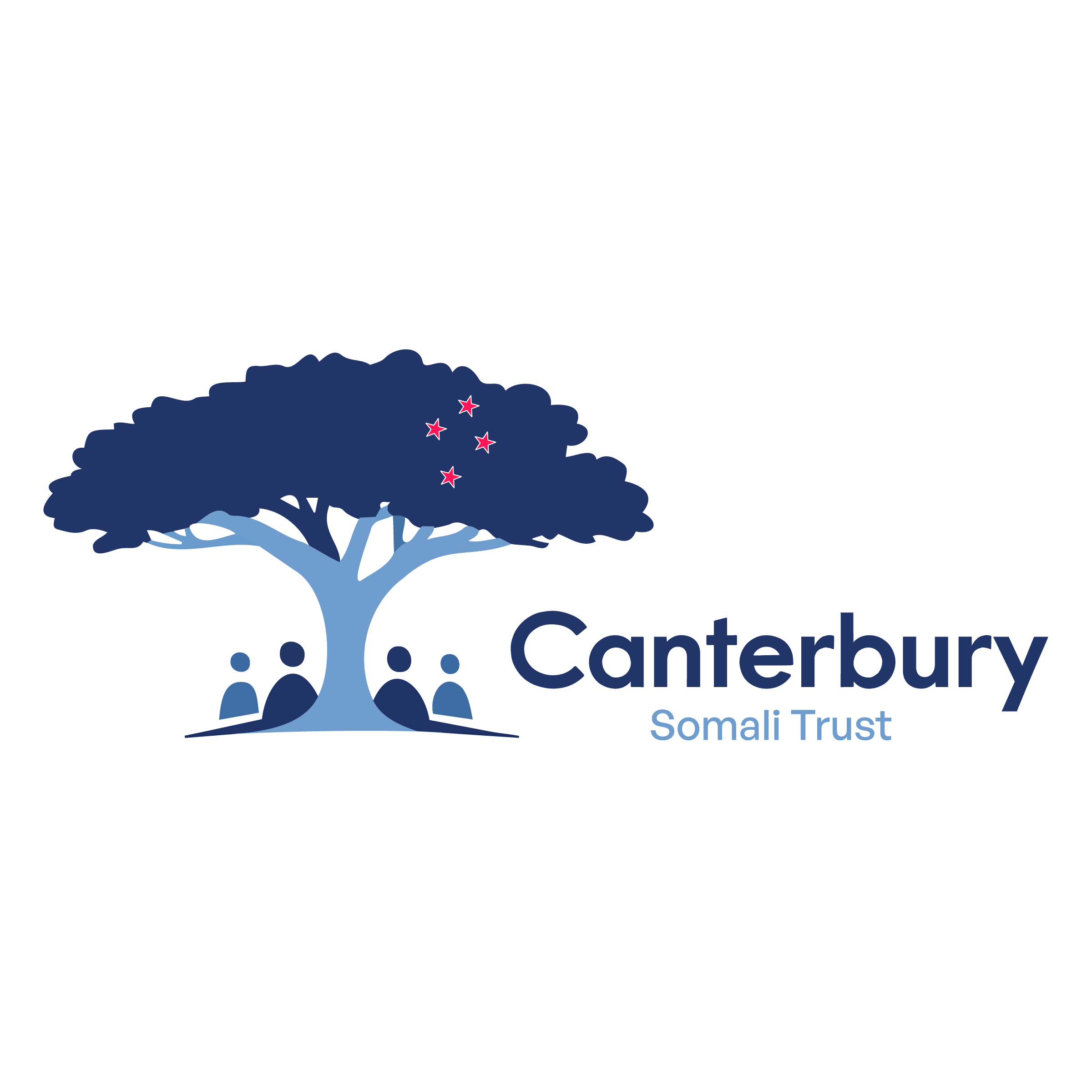 Logo of Canterbury Somalia Trust with a stylized blue tree with red stars on its leaves.