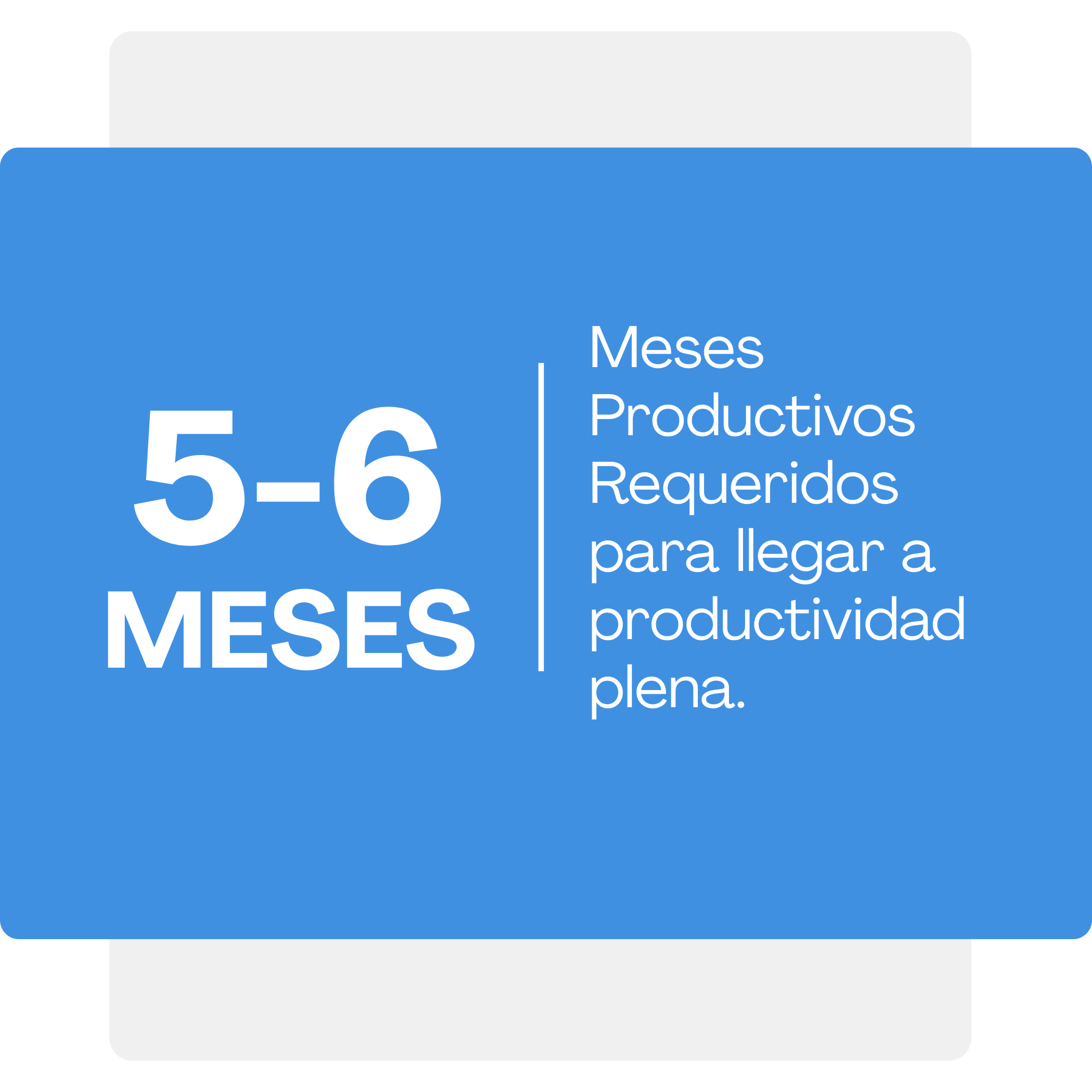 Gráfico que muestra el rango de edad de 5-6 meses en comparación con otros meses, con texto en español que dice 'Meses Productivos Requeridos para llegar a MES'.