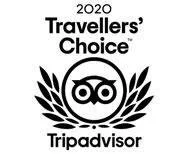 2020 Travelers' Choice TripAdvisor award emblem with owl logo and laurel branches