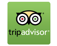 TripAdvisor logo with green background and owl face