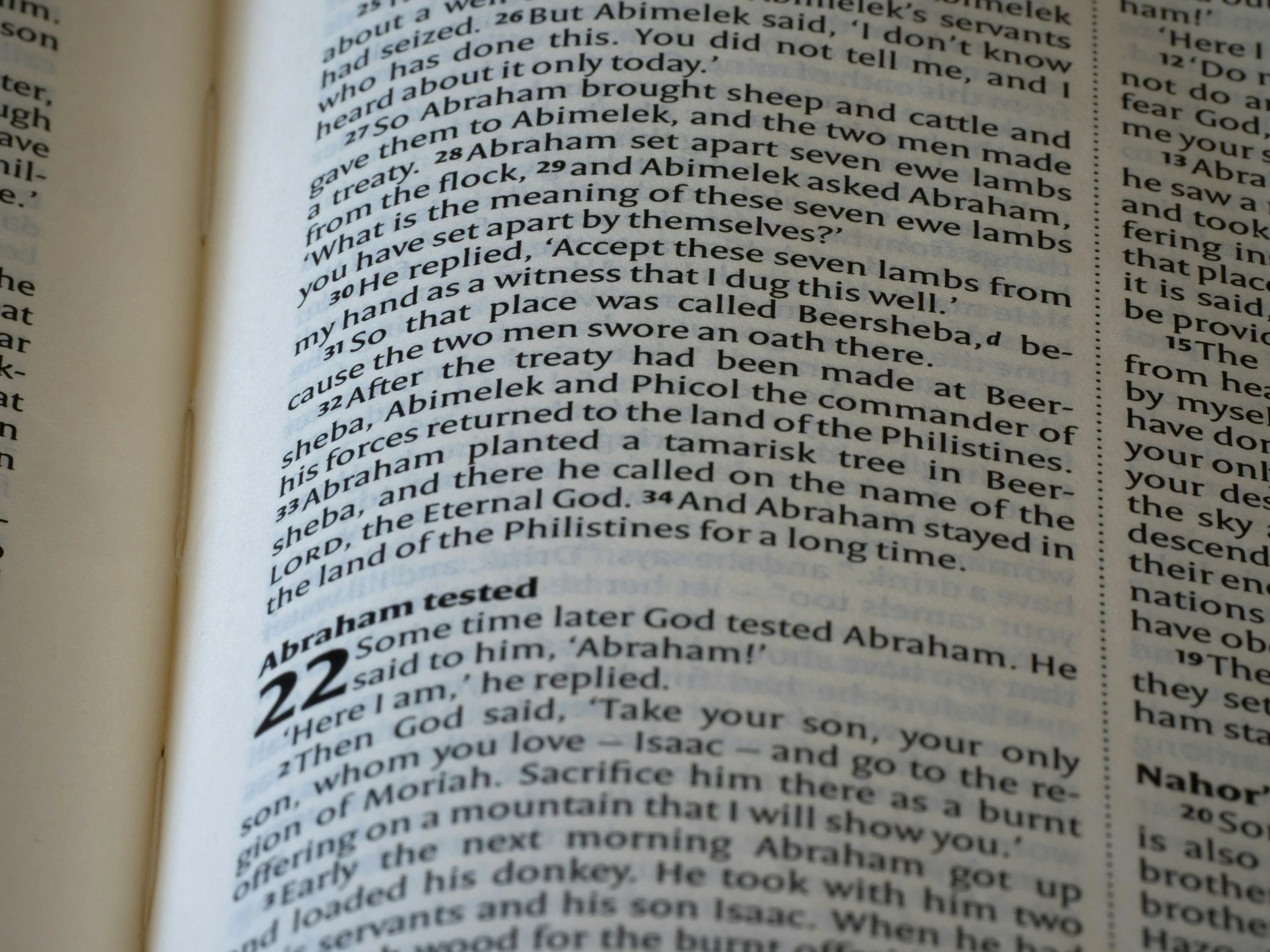 Glossary of Terms