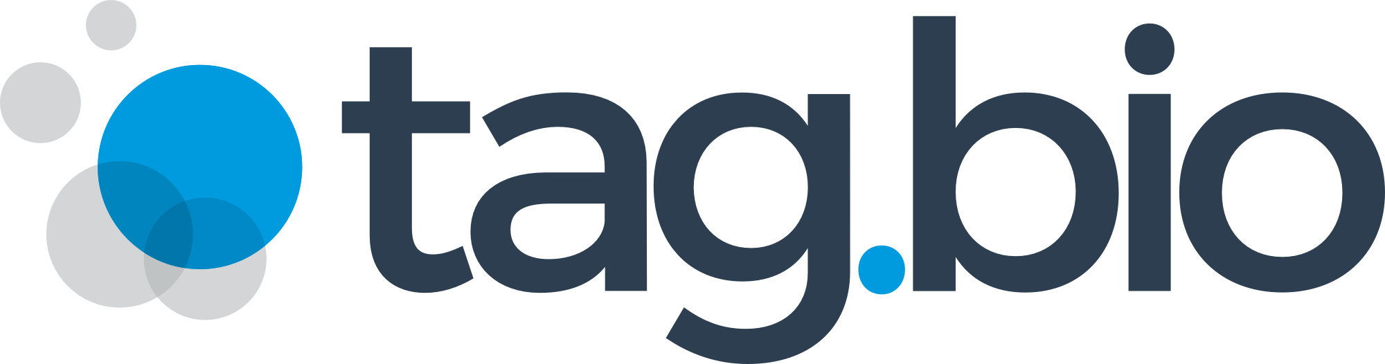 The logo of Taglio featuring the brand name in lowercase letters with overlapping blue and gray circles on the left side.