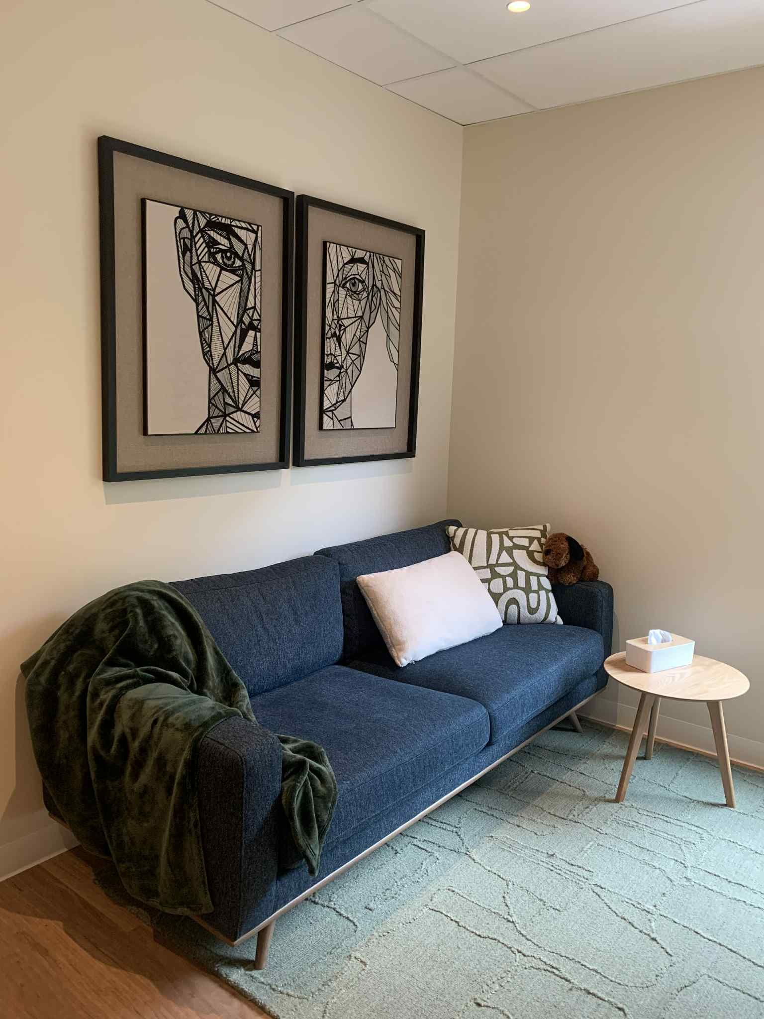 Living room with blue sofa, three decorative pillows, black and white artwork on the wall, a small round side table with a tissue box, and a stuffed dog toy. A green blanket is draped over the arm of the sofa, and a light-colored rug covers the floor.