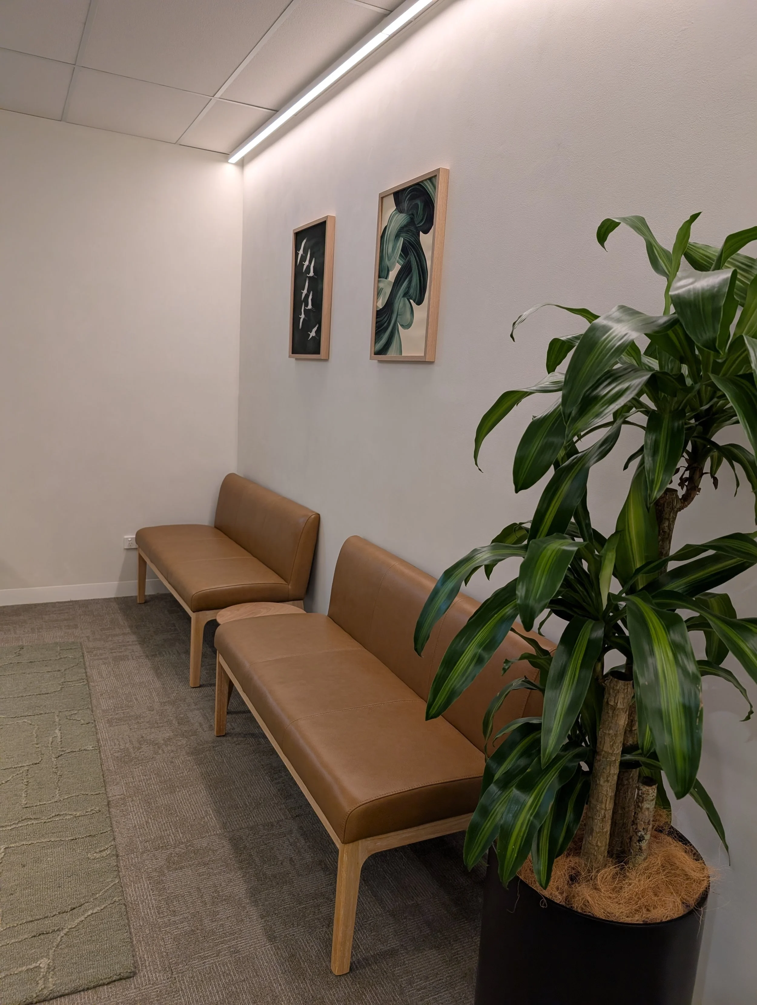 Waiting area with two tan leather benches, a large potted plant, and two framed abstract art pieces on the wall.